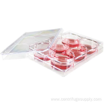 Lab Supplies 96 Well Plastic Cell Culture Plate